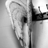 angel_station