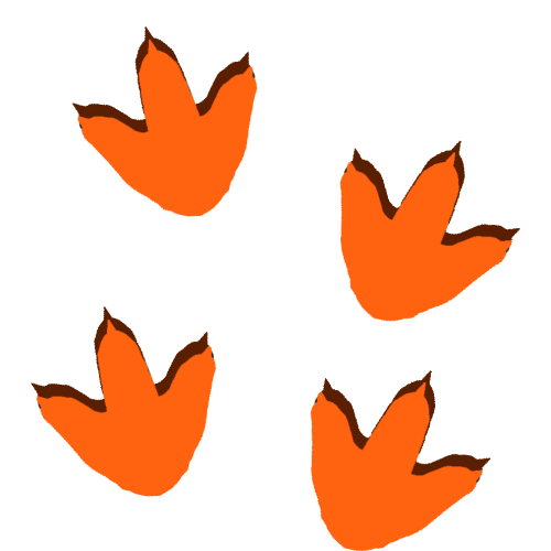 BEdfgdfZ-IMENI-1.png