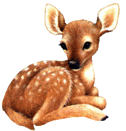322d4a19.gif