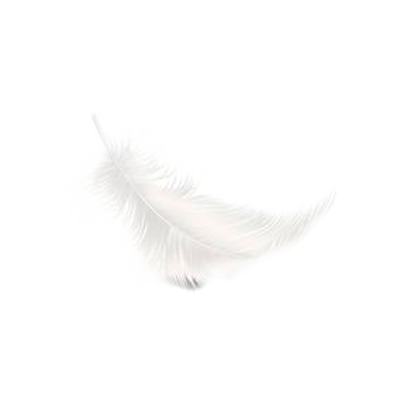 PERO2.png