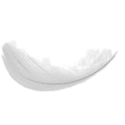 PERO4.png