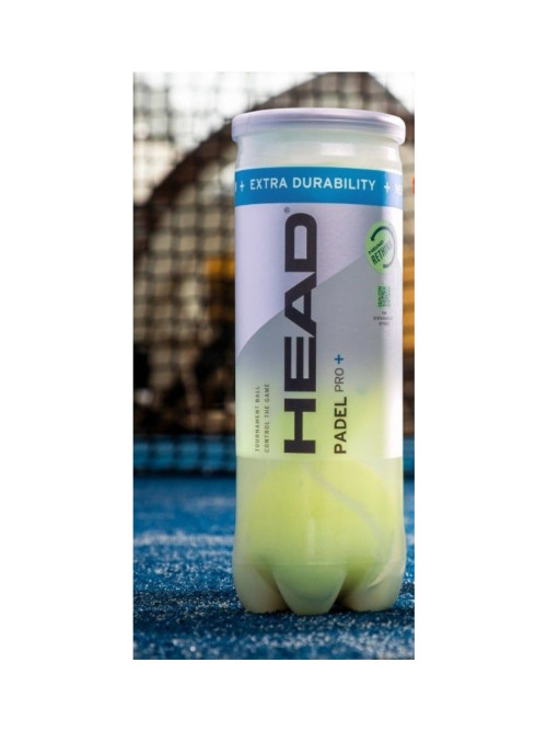 HEAD-YELLOW05_2.jpg