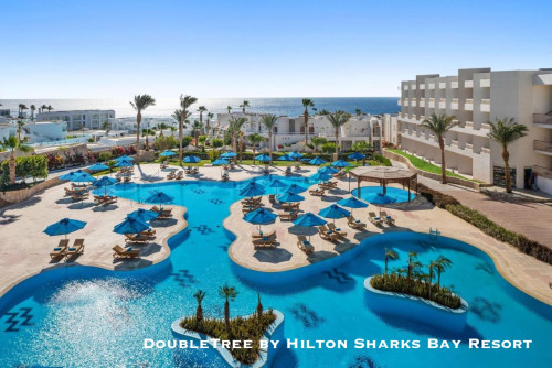 Doubletree-By-Hilton-Sharks-Bay-Resort-Beach-Side-5.jpg