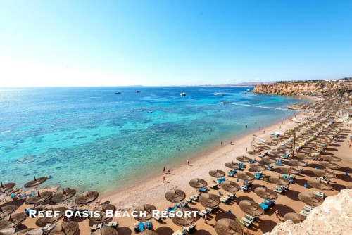 Reef-Oasis-Beach-Aqua-Park-Resort.jpg