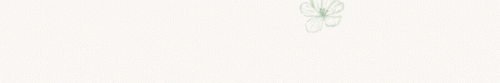 DIZAIN-BEZ-NAZVANIY.gif