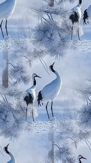 78e213c4300690f2b3149acd6e27a4b3.jpg
