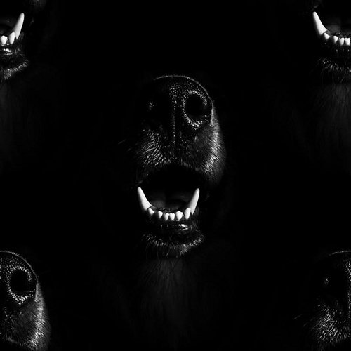 7f83eab5a7245b87bb47a4dcc69b3993.jpg
