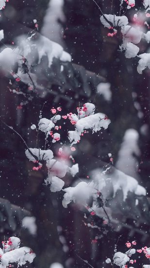 b1b2ea6abe6fa6ad060f1e335968bd50.jpg
