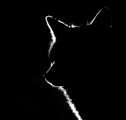 bd4ebb0f10e3408f104c80635bf93dff.jpg