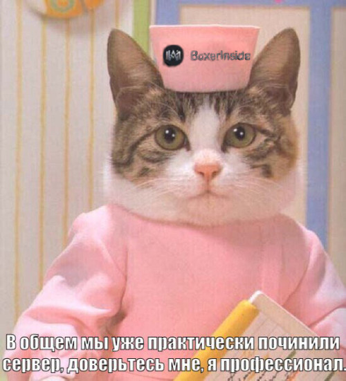 gyxHMTD0w9D9mYZoAPZTq3dNKrjoHtrJIpyNJxixsRr6Wt4kvIafNxhsshdSkXxkEnF9YzPeczz4y2NosUZsYFnPRRZMQQWvrHSWWyUUNiHmqqxkR9hYaC28kfgPg7M1.jpg
