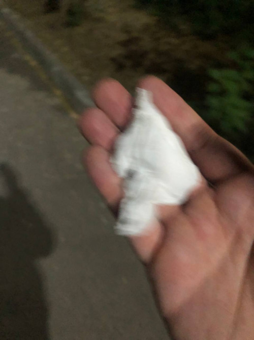 1000042282.jpg