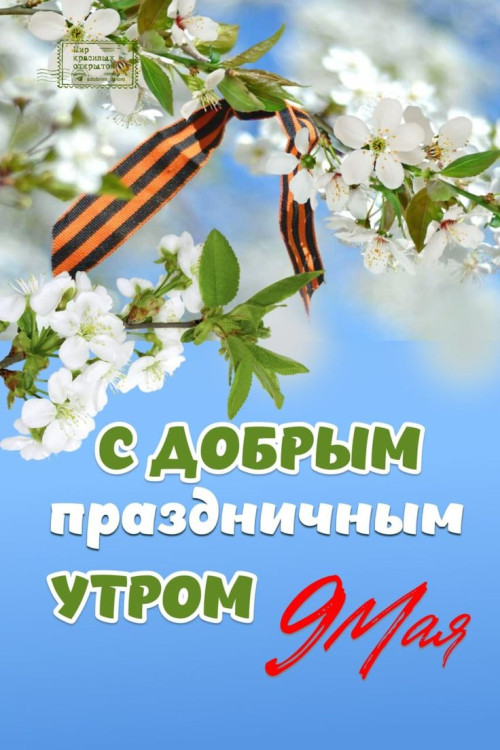 7fa7c364fad8aa162cd0df4bffcd379c.jpg