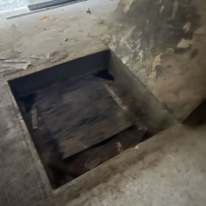 1000437373