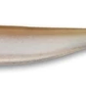 412
