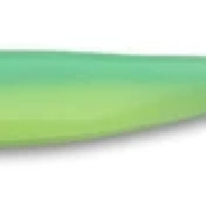 EA11