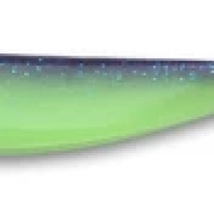 PAL06