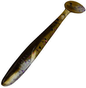 583.jpg