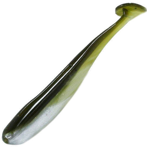585.jpg