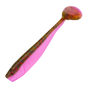 L541