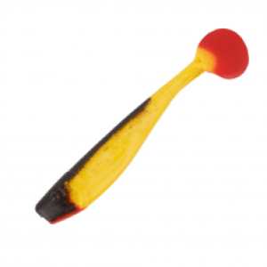 S061R