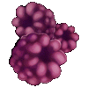 20250302_221740-8.gif