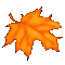 20250303_191646-2.gif