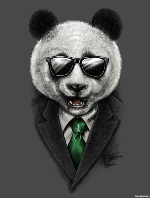 NA-IZOBRAZENII-IZOBRAZEN-PANDA-V-DELOVOM-KOSTYME-S-SOLNTEZASITNYMI-OCKAMI..jpg