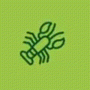 15.gif
