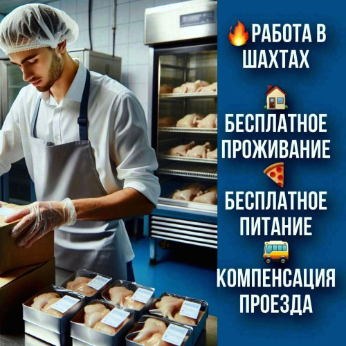1174d2440398771ea4.jpg