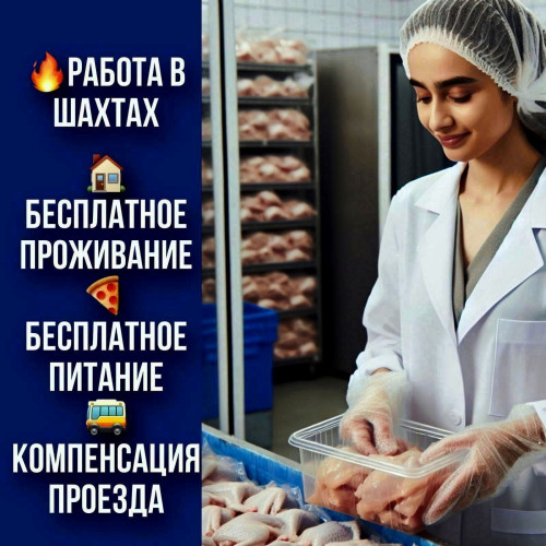 25ff33bbebfadded60.jpg