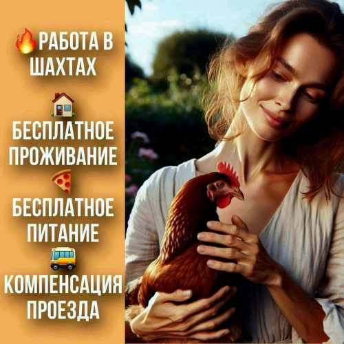 8dff70f0006c8ff92.jpg