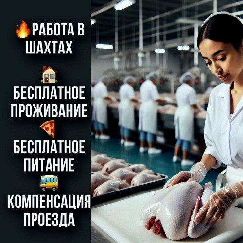 92e9bad42f3201e83.jpg