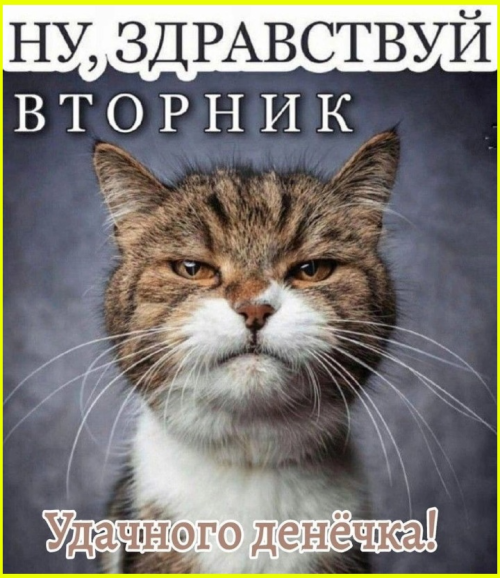 image-2972.png