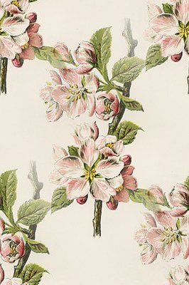 255ab90abb9e48105744ee1951358dd5.jpg
