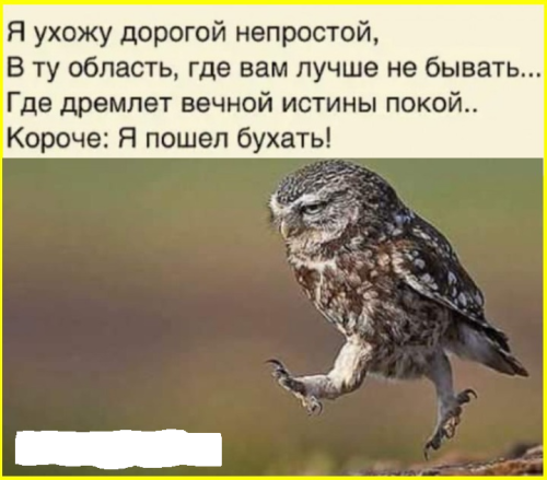 image-6150.png