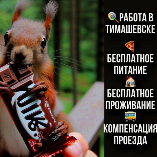 15a016c905c33ba5bf.jpg