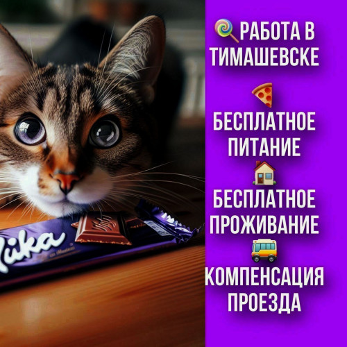 2397ac39e4261247bb.jpg