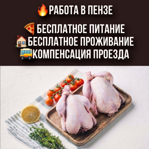 200f0c8fceab6e6c03.jpg