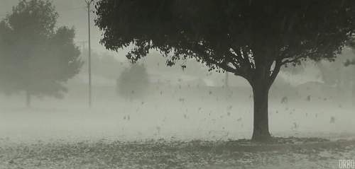 5d29dfd5d5bb006c3ef5ff0fed10c7ce.gif