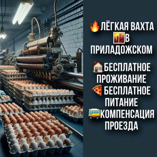 12f5478d880939ddcc.jpg