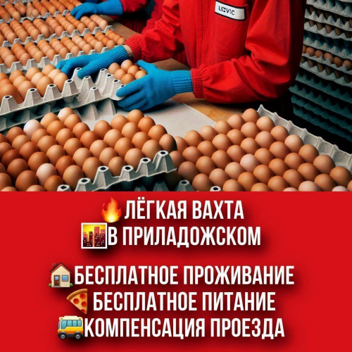 20c269292397e7de7a.jpg