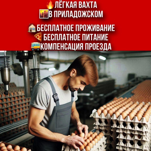 220b5dc23a4c16091e.jpg