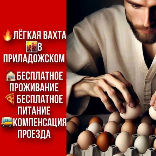 24c504112fc85df9d5.jpg