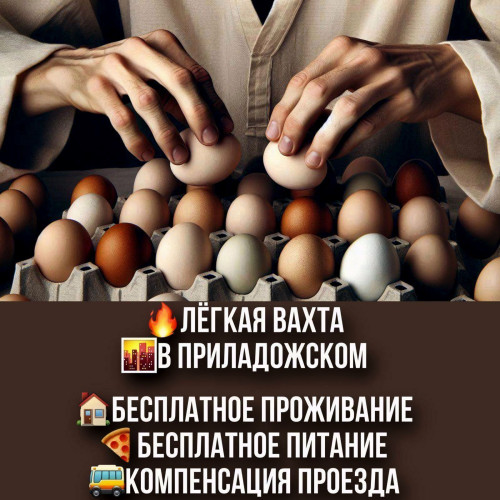 25a05dc2e7d2f709ce.jpg