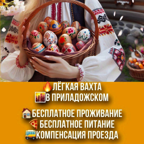 310b5f0c4cc11d950.jpg