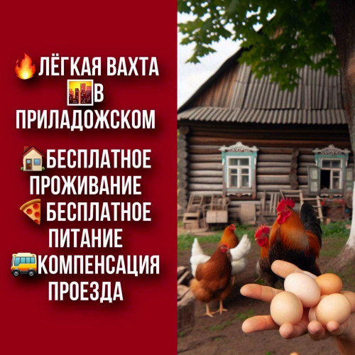 75fd7e518f0c0ff72.jpg