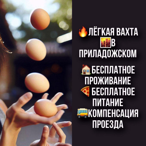 828304bf52a5da4f9.jpg