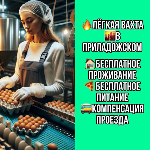 9729f45d8a62090ec.jpg