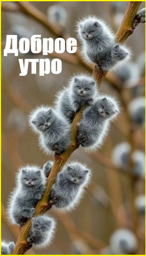 image-3939.png