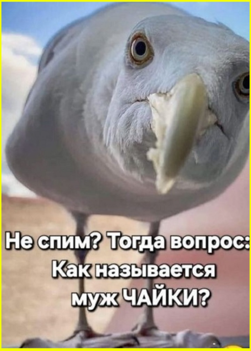 image-4032.png